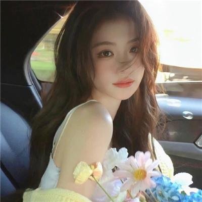 龟甲秘事之拨云见日